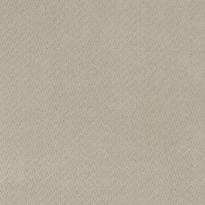 Anderson Tuftex Aperture Silk 00104_ZZ391