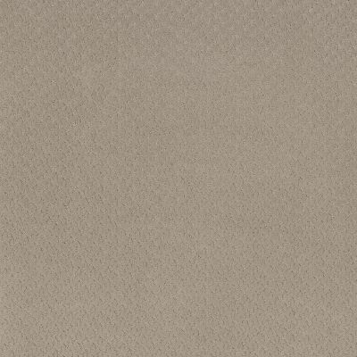 Anderson Tuftex Aperture Flax 00105_ZZ391