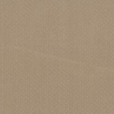 Anderson Tuftex Aperture Warm Beige 00107_ZZ391