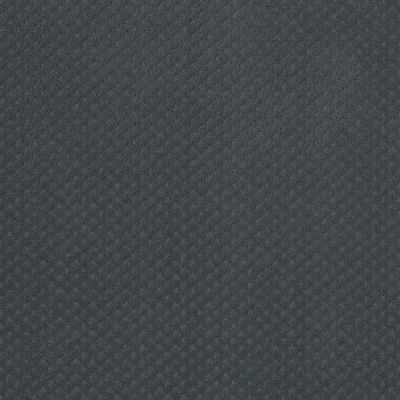 Anderson Tuftex Aperture Cape Cod Blue 00400_ZZ391