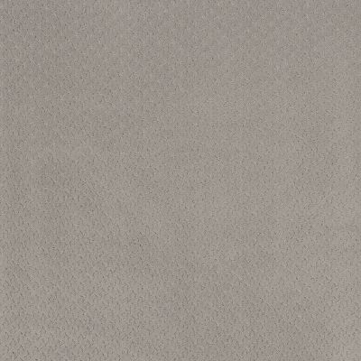 Anderson Tuftex Aperture French Grey 00500_ZZ391