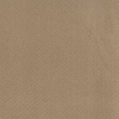 Anderson Tuftex Aperture Honey 00700_ZZ391