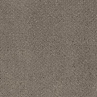 Anderson Tuftex Aperture Taupe 00701_ZZ391