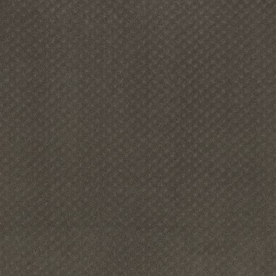 Anderson Tuftex Aperture Mocha 00702_ZZ391