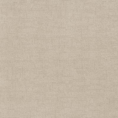 Anderson Tuftex Silhouette Parchment 00102_ZZ392