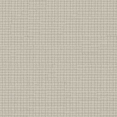Anderson Tuftex Radiance Dove 00100_ZZ393