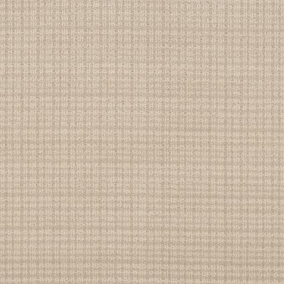 Anderson Tuftex Radiance Ecru 00103_ZZ393