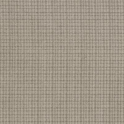 Anderson Tuftex Radiance Taupe Haze 00107_ZZ393