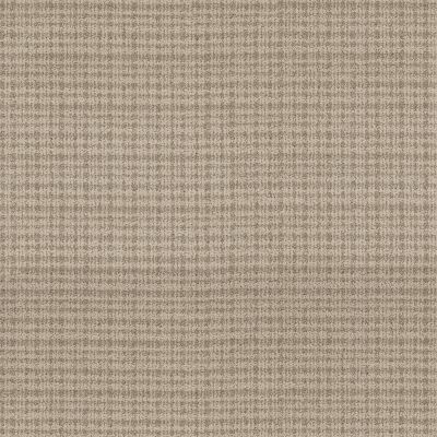 Anderson Tuftex Radiance Soft Tan 00108_ZZ393