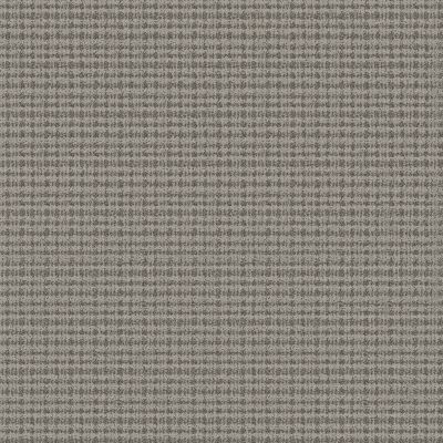 Anderson Tuftex Radiance Graphite 00500_ZZ393