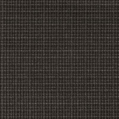 Anderson Tuftex Radiance Ebony 00502_ZZ393