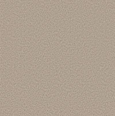 Anderson Tuftex Fur-ever Birch 00173_ZZ218