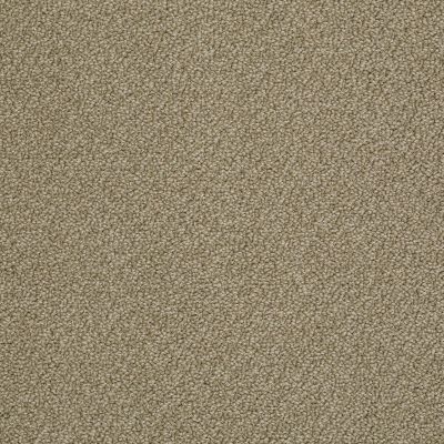 Anderson Tuftex Pet Perfect MASTER TITLE Suede 00714_12DDF