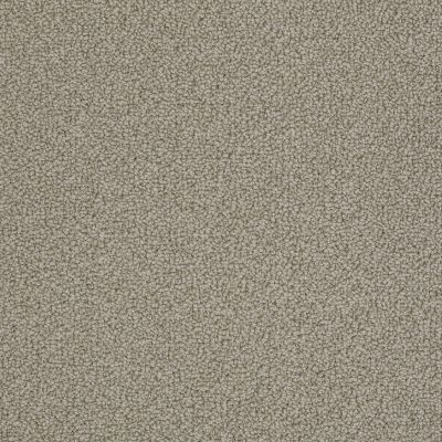 Anderson Tuftex Pet Perfect On Point Taupestone 00754_ZZ012