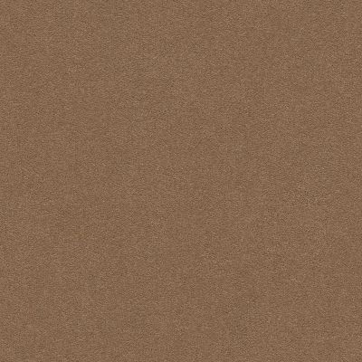Anderson Tuftex Perfect Choice Mystic Brown 00775_ZZ064