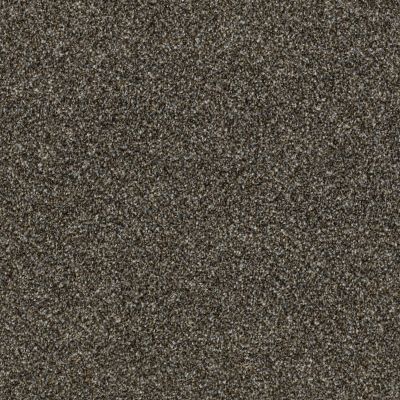 Anderson Tuftex Oliver’S Twist Grizzly 00726_ZZ015