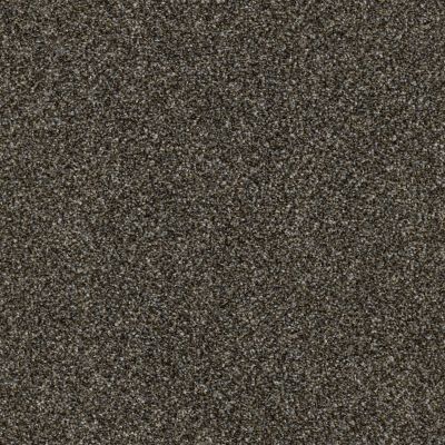 Anderson Tuftex Mollie’S Turn Grizzly 00726_ZZ016