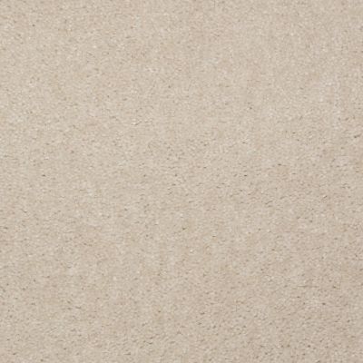 Shaw Floors Arlington Park Alabaster 65120_MW206