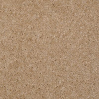 Shaw Floors Arlington Park Basketweave 65122_MW206