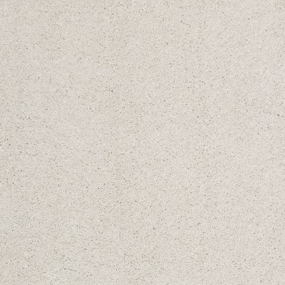 Shaw Floors Nfa/Apg Barracan Classic I Suffolk 00103_NA074