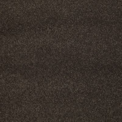 Shaw Floors Nfa/Apg Barracan Classic III Chestnut 00726_NA076