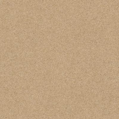 Shaw Floors Nfa/Apg Barracan Classic Iv Manilla 00221_NA077