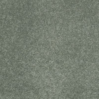 Shaw Floors Nfa/Apg Barracan Classic Iv Jade 00323_NA077