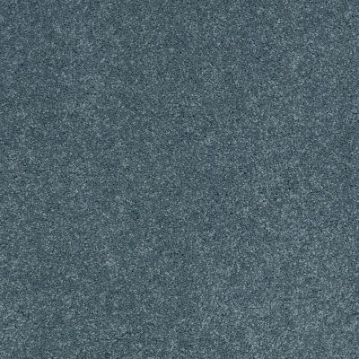 Shaw Floors Nfa/Apg Barracan Classic Iv Boheme 00422_NA077