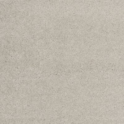 Shaw Floors Nfa/Apg Barracan Classic Iv Sterling 00511_NA077