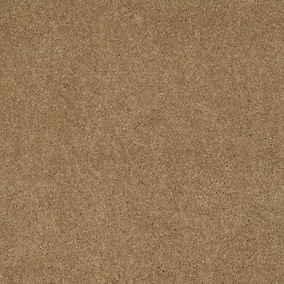 Shaw Floors Nfa/Apg Barracan Classic Iv Navajo 00703_NA077