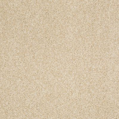 Shaw Floors Nfa/Apg Blended Trio Churro 00105_NA133