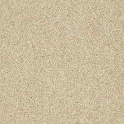Shaw Floors Nfa/Apg Blended Trio Santa Cruz 00106_NA133