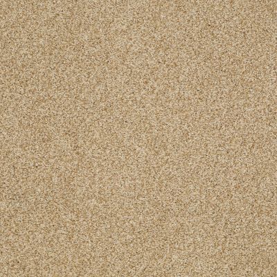 Shaw Floors Nfa/Apg Blended Trio Camel 00201_NA133