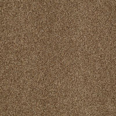 Shaw Floors Nfa/Apg Blended Trio Southern Andes 00202_NA133