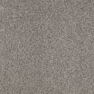 Shaw Floors Nfa/Apg Blended Trio Arctic Frost 00503_NA133
