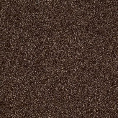 Shaw Floors Nfa/Apg Blended Trio Bison 00707_NA133
