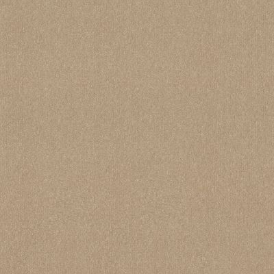 Shaw Floors Nfa Respected Antique Parchment 00165_NA150