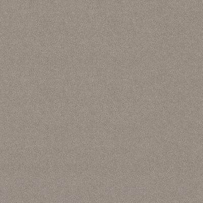 Shaw Floors Nfa Respected Smoke Signal 00170_NA150