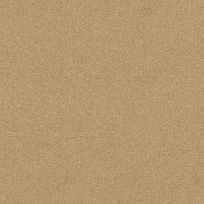 Shaw Floors Nfa Respected Popsicle Stick 00260_NA150