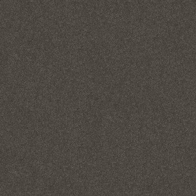 Shaw Floors Nfa Respected Mountain Shadow 00562_NA150