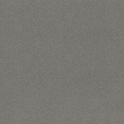 Shaw Floors Nfa Respected Drizzle 00571_NA150