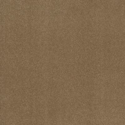Shaw Floors Nfa Respected Sienna 00762_NA150