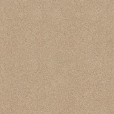 Shaw Floors Nfa Refinement Antique Parchment 00165_NA151