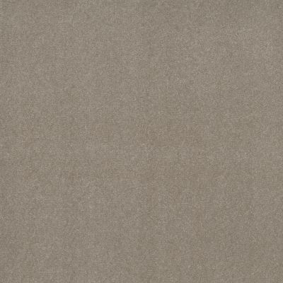 Shaw Floors Nfa Refinement Smoke Signal 00170_NA151
