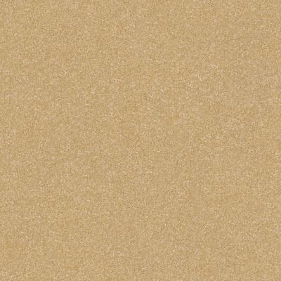 Shaw Floors Nfa Refinement Popsicle Stick 00260_NA151
