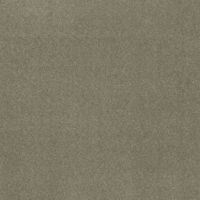 Shaw Floors Nfa Refinement Silver Sage 00360_NA151