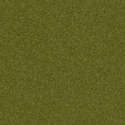 Shaw Floors Nfa Refinement Moss Grove 00362_NA151