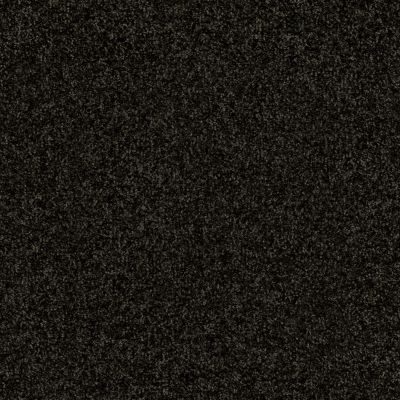 Shaw Floors Nfa Refinement Hidden Valley 00363_NA151