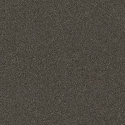 Shaw Floors Nfa Refinement Mountain Shadow 00562_NA151