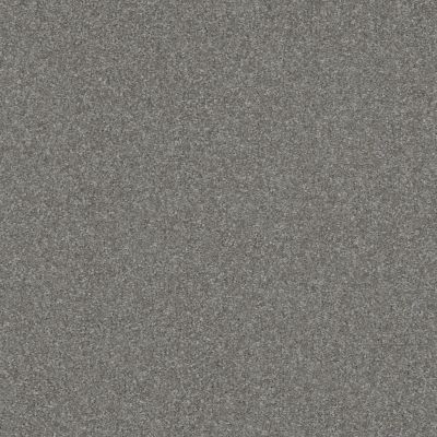 Shaw Floors Nfa Refinement Drizzle 00571_NA151